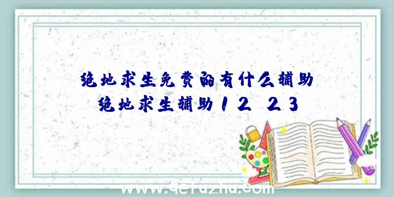 「绝地求生免费的有什么辅助」|绝地求生辅助12.23